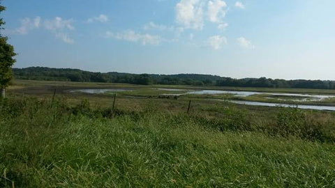 90 Acre Parcel W/3 Ponds